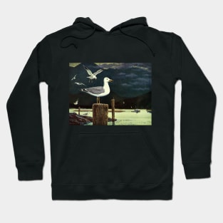 Seagulls Hoodie